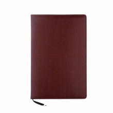 晨光皮面笔记本(雅致办公)APY4F361 B5-100页 棕色/黑色