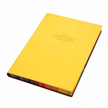 得力 3184 皮面笔记本活力系列 56K/112页 黄色 彩色喷边