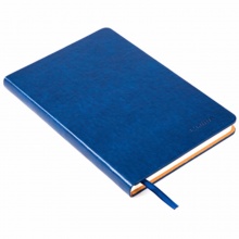 齐心C5809 皮面笔记本 18K-114张 70g米黄 蓝色