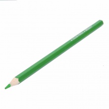 晨光彩色铅笔PP筒装 36色AWP36802