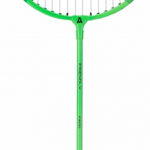 安格耐特F2100羽毛球拍(绿色)(2个/副)