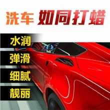 龟牌洗车清洁剂 G-4039  2L