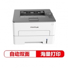 奔图（PANTUM）P3370DN黑白激光打印机（自动双面 A4打印 USB打印）