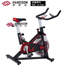 悍德森（HANDSOM）HS5000 动感单车