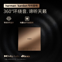 极米（XGIMI ）RS Pro 2 投影仪