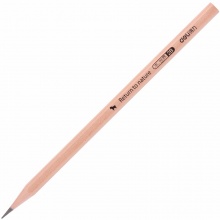 得力书写铅笔S941-2B/S942-2H 原木色 30支/筒
