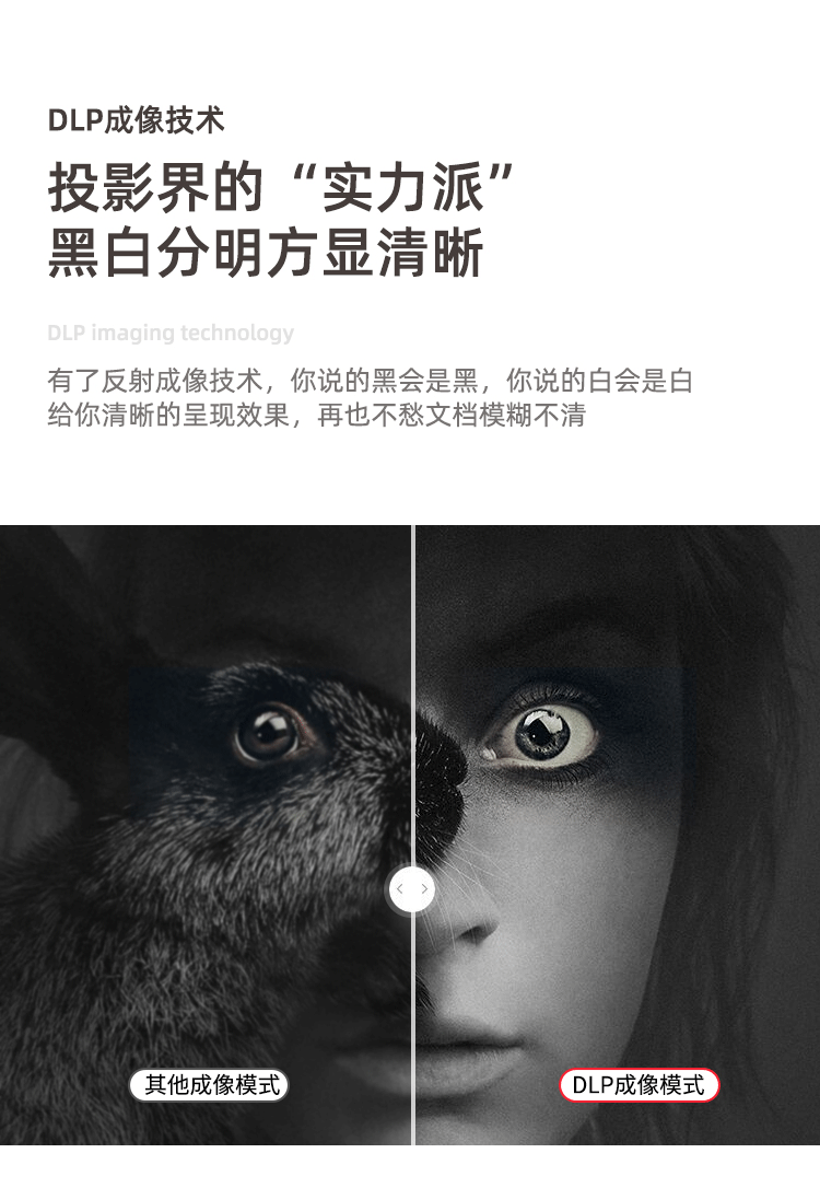 7.gif